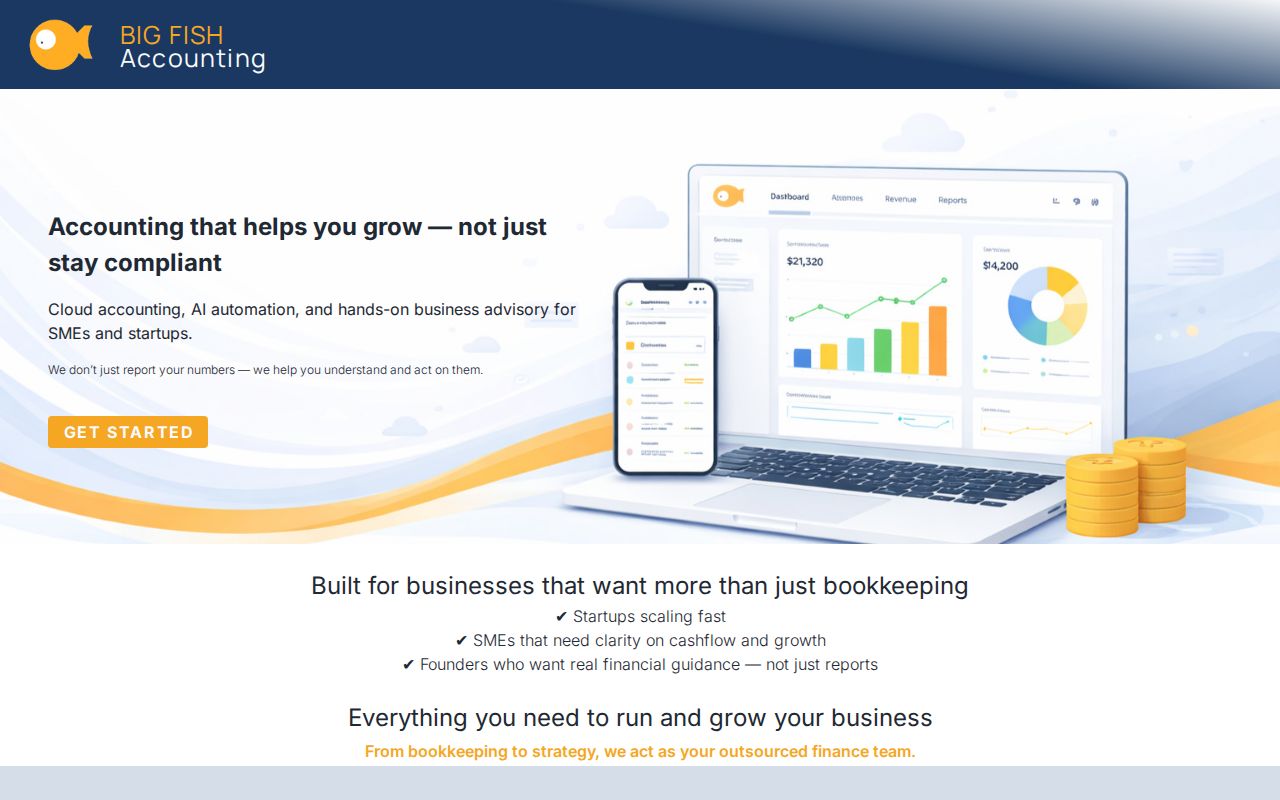 Big Fish Accounting